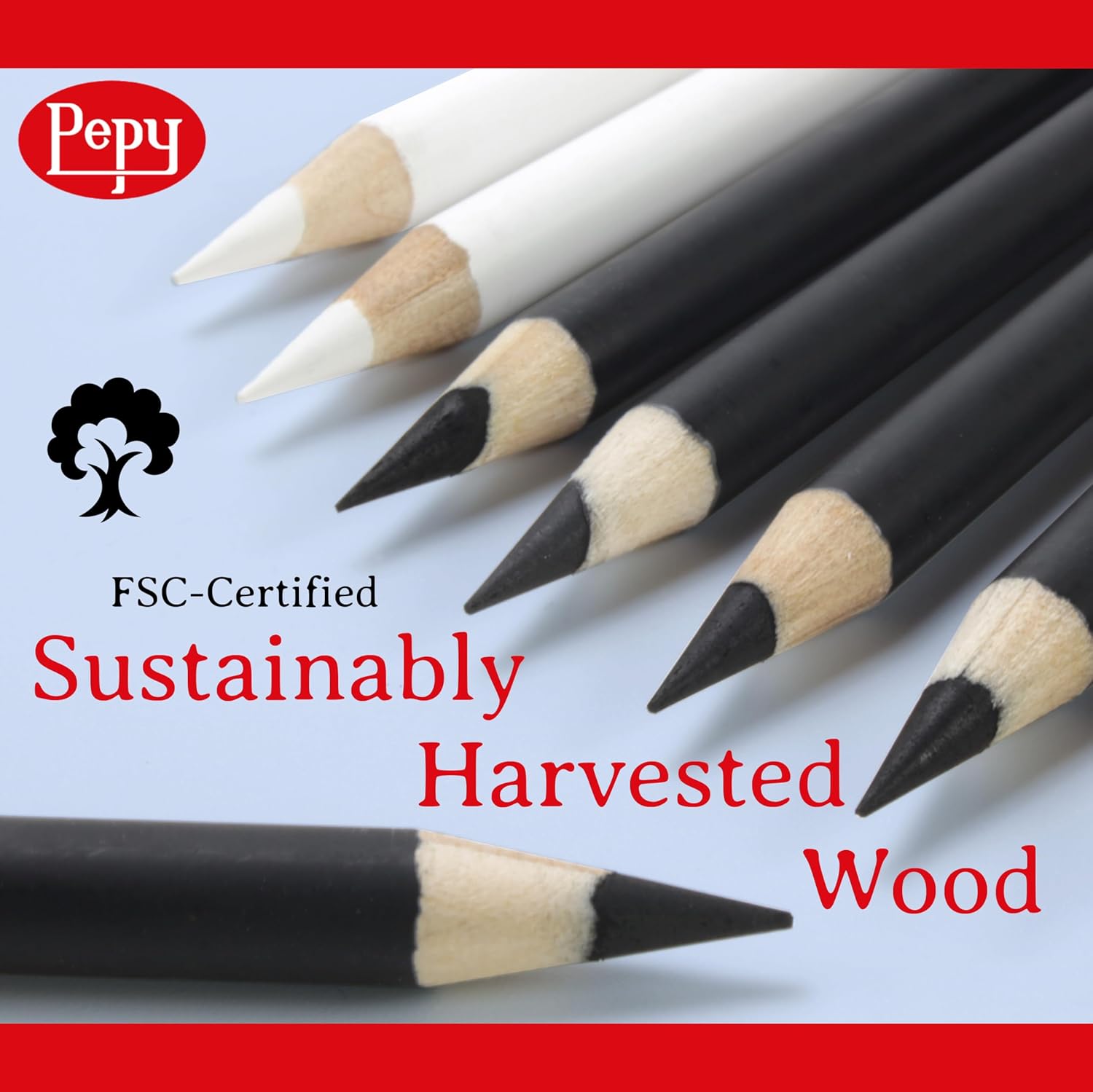 Pepy Charcoal Assorted Set of 6 Pencils: 2 Each Hard, Medium, Soft Pencils - Image 4